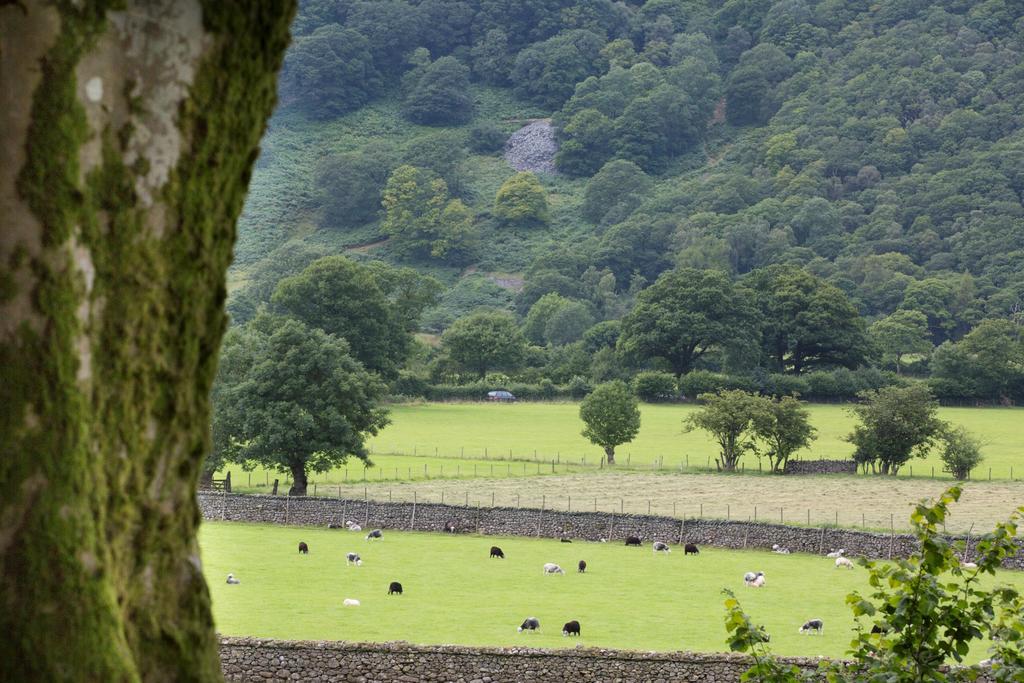 Hazel Bank Country House Borrowdale Valley Rosthwaite Exteriér fotografie