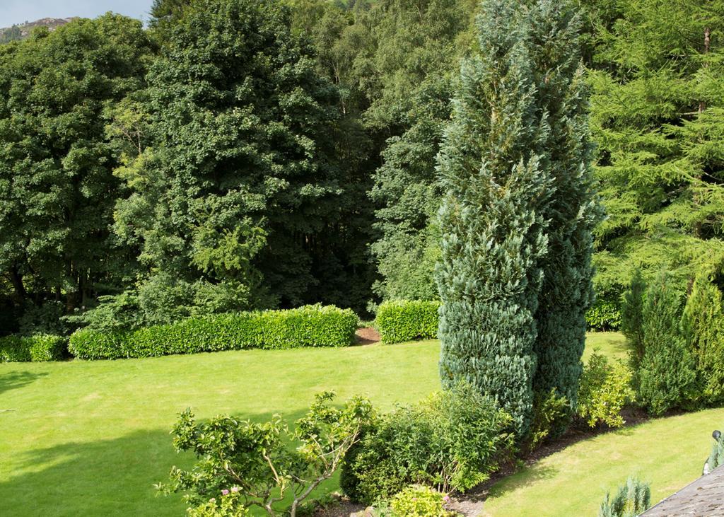 Hazel Bank Country House Borrowdale Valley Rosthwaite Exteriér fotografie